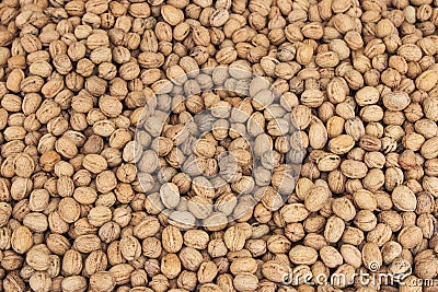 Close up of a group of Walnuts Stock Photo