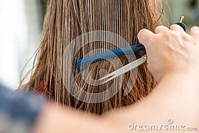 Close up of hairdresser hands cutting brown hair at home. Professional stylist trimming hair split ends Stock Photo