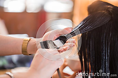 Close up of hairdresser woman applying hair care with a comb her client. health Stock Photo