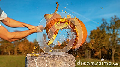 CLOSE UP: Halloween carved pumpkin getting destroyed with baseball bat Stock Photo