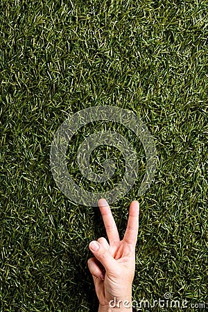 Close up of hand of caucasian woman showing peace sign with copy space on grass background Stock Photo