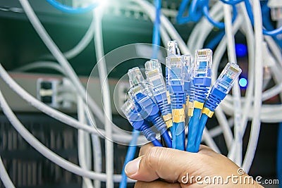 Close-up hand choose many RJ45 head of UTP LAN network cable and Lots of Ethernet cables background for connect computer and netwo Stock Photo