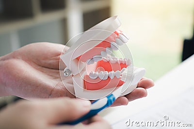 Close up hand dentists are demonstrating how to brush their teeth correctly Stock Photo