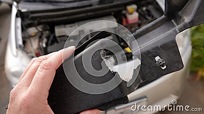 Close up of hand holding a car piece chewed through by rodent Stock Photo