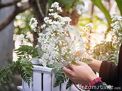 Close up hand of young woman florist flower arrangement Gypsophila. Stock Photo