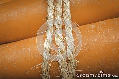 Close up of a handful of carrots tied with hemp rope Stock Photo