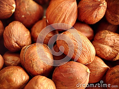Close-up of a handful of hazelnuts peeled from the shell Stock Photo