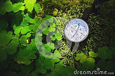 Close up handmade wooden compass, tree shadows on green nature grass ground. holiday adventure in forest. Compass Stock Photo