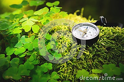 Close up handmade wooden compass, tree shadows on green nature grass ground. holiday adventure in forest. Compass Stock Photo