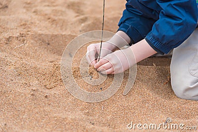 Close-up of hands as young boy tries to stand stick up in pile of sand on beach Stock Photo