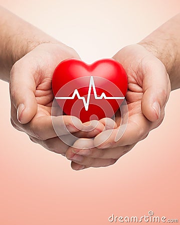 Close up of hands holding heart with cardiogram Stock Photo