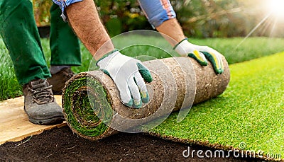 Man Laying a Roller Sod for New Garden Lawn - Generative Ai Stock Photo