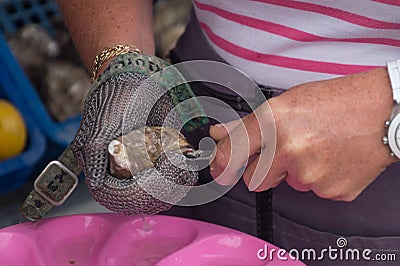 Close up of hands opening an oyster, Cancale, France Stock Photo