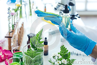 Close up hands woman science lab research for Natural alternative herb and essential oil from fresh flower Stock Photo