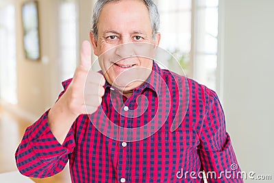 Close up of handsome senior man at home doing happy thumbs up gesture with hand Stock Photo