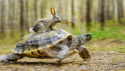 Hare on the Carapace of a Fast Turtle Running at Full Speed - Generative Ai Stock Photo