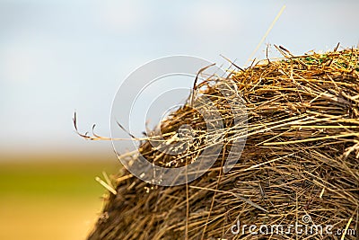 Close up of hay bale with blurry background Stock Photo