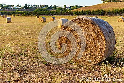 Close up of Hay bales, rural scene in summer Stock Photo