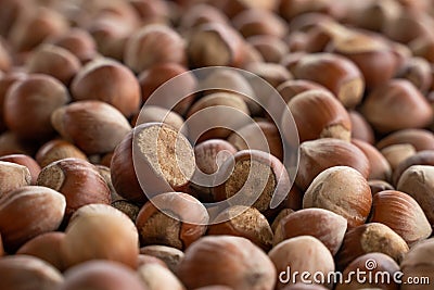 Close up hazelnuts. Hazelnut composition and backgorund. Stock Photo