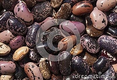 Close up of heap of color beans Stock Photo