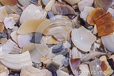 close up of heap of colorful broken seashells on seacoast Stock Photo