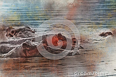 Close hippo or Hippopotamus amphibius in watercolor Stock Photo