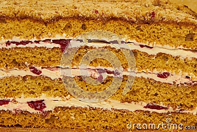 Close up of honey cake in cut,homemade cake with cherries in cut close up Stock Photo