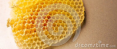 Close-up of a honeycomb slice with honey, featuring a detailed view of the hive's texture and hexagonal pattern Stock Photo