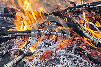 Close up of hot burning fire wood coal Stock Photo