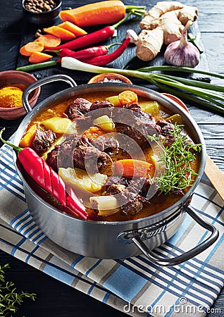 Close-up of hot spicy Jamaican Curried Goat Stock Photo