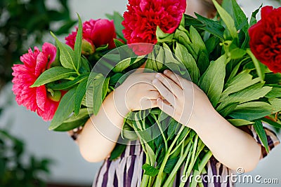 Close-up of huge bouquet of blossoming red and pink peony flowers holding in hands of little toddler girl. Close up of Stock Photo