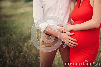 Close up of human hands holding pregnant belly, closeup happy family awaiting baby, standing on green grass, body part, young fami Stock Photo