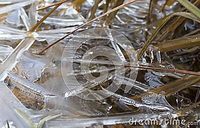 Close Up Ice Formation in Pond Stock Photo