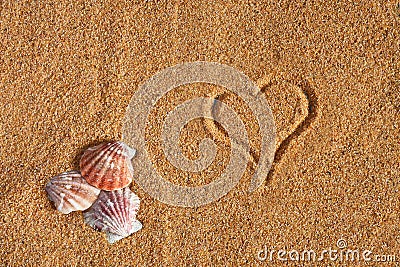 Seashells and Sand Stock Photo