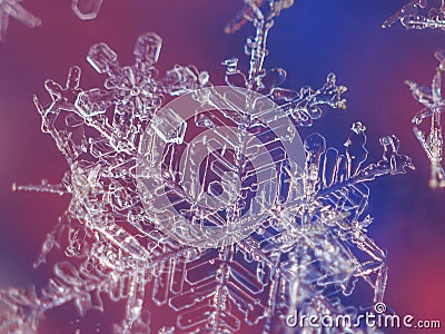 Close-up image of single snow flake on colorful background Stock Photo