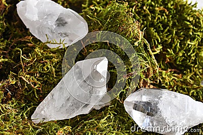 Three Clear Quartz Crystal on Green Moss Stock Photo
