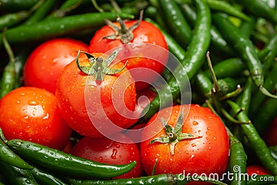 Close-Up of of Indian Organic fresh tomato Solanum lycopersicum and green chili Capsicum annuum Stock Photo