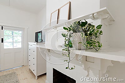 Close up of indoor pot plant in bedroom on a ledge Stock Photo