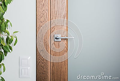 Close - up of interior elements. Steel door handle on dark wood Stock Photo