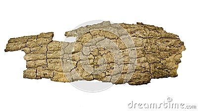 Close-up of isolated broken stub log bark Stock Photo