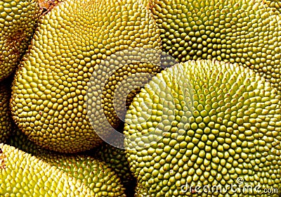 Close up jackfruit Stock Photo