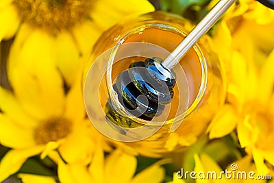 Close-up of jar full with honey and honey-spoon in the middle of sunflowers Stock Photo