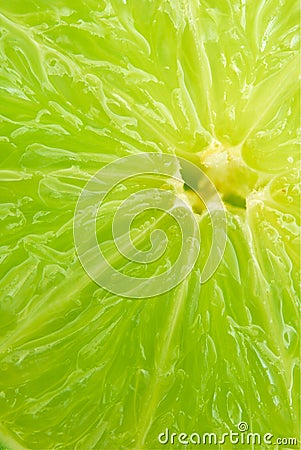 Close up of lime slice Stock Photo