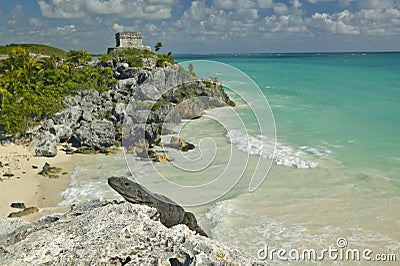 Close-up on Lizard with background of Templo del Dios del Viento Mayan ruins of Ruinas de Tulum (Tulum Ruins) in Quintana Roo Stock Photo