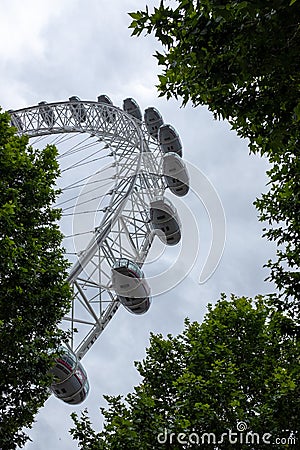 A close up of the London eye in the middle of two gorgeous tall green trees, Uk Editorial Stock Photo