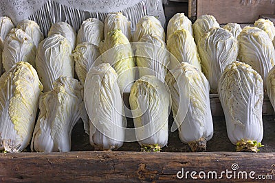 A lot of japanese organic vegetables called Napa or Hakusai cabbage aligned on wooden beams in a stable. Stock Photo