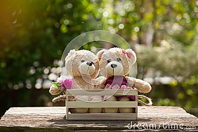 Close up lovely brown two teddy bear in wooden box concept, love Stock Photo