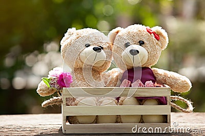 Close up lovely brown two teddy bear in wooden box concept, love Stock Photo