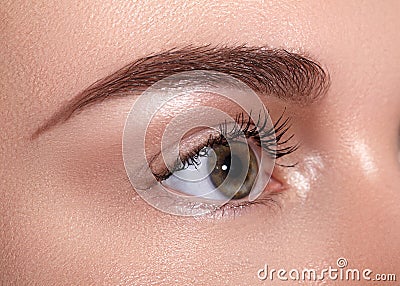 Close-up Macro of Beautiful Female Eye with Perfect Shape Eyebrows. Clean skin, Fashion Naturel Make-Up. Good Vision Stock Photo