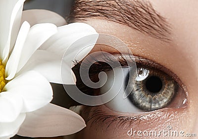 Close-up macro of beautiful female eye with perfect shape eyebrows. Clean skin, fashion naturel make-up. Good vision. Spring natur Stock Photo